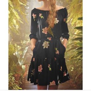 Anthropologie Lolanthe Navy Floral dress